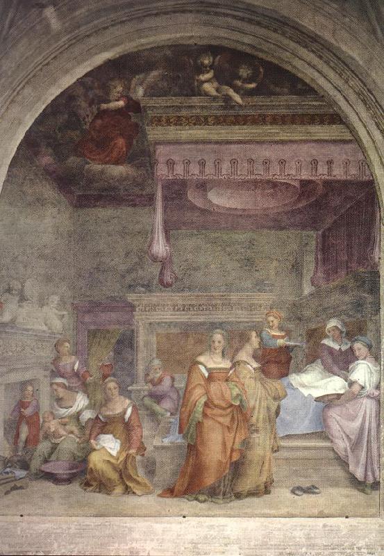 Andrea del Sarto Birth of the Virgin  gfg France oil painting art